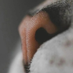 Галина Романюха, 29.07, Москва