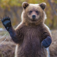 Владимир Парфёнов