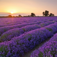 Жанна Зубанова, 15.10, Вильнюс