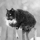 Михаил Пятков, 03.09.1988, Новосибирск