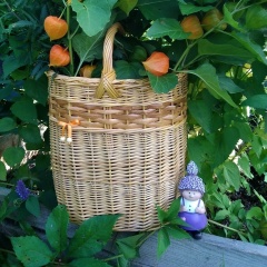 Алексей , Санкт-Петербург