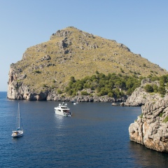 Вадеггг Вадикович