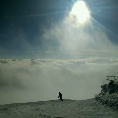 Александр Денисов, 24.04.1985, Москва