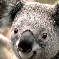 Рома Есаев, 06.08.1986, Волгоград