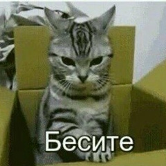 Эльза Архиева, 05.01, Тюмень