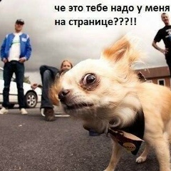 Геннадий Козырев, 28.04.1989, Михайловск