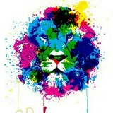 Islam Gazdiev, 22.07.1988, Санкт-Петербург