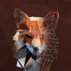 Тимерлан Багбеков, 23.09, Москва