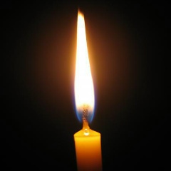 Людмила Дорошенко, 16.11, Киев