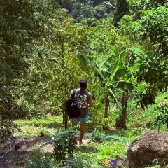 No Matter, 20.10.1986, Брянск