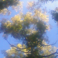 Галина Дацковская, 17.03.1988, Новосибирск