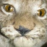 Борис Алиханов, 13.07.1989