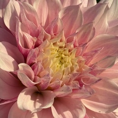 Надя Иванова, 06.07, Москва