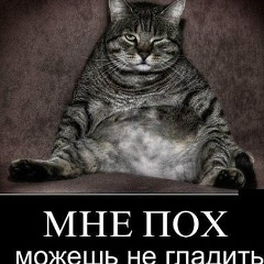 Александр Евтеев, 08.05, Волгоград