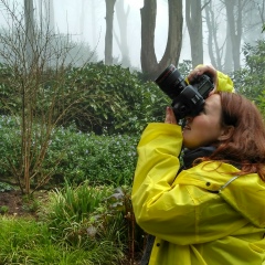 Тали Иошпе, 22.11, Москва