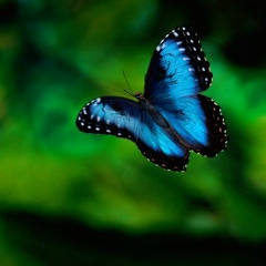 Salta Imanova, 01.09.1991, Атырау