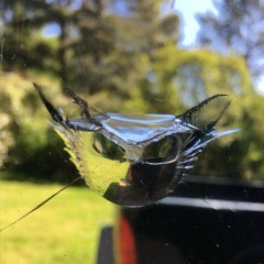 Егор Буркин, 21.04, Москва