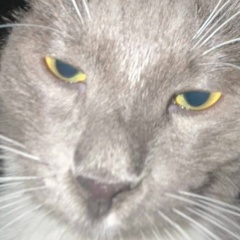 Георгий Чусовитин, 03.03.1994, Урай