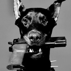 Stepan Antochel, 26.07, Москва