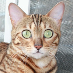 Марина Назарова, 20.12, Красноярск