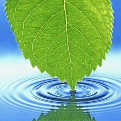 Ruslan Iuliano, 24.04, Днепр (Днепропетровск)