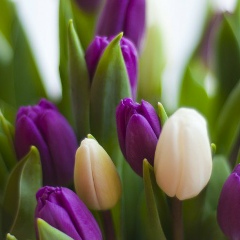 Ксения Ким, Алматы