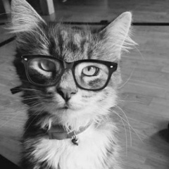 Наталья Мужанова, 09.09.1991, Раменское