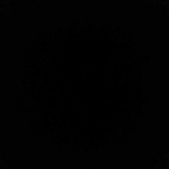 Илья Бабаев, Санкт-Петербург