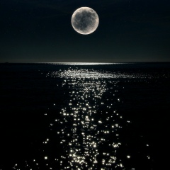 Айнұр Аллахиярқызы, 28.05, Кызылорда