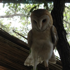 Оксана Шевченко, 20.02.1974, Харьков