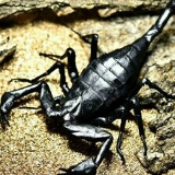 Эльдар Шельмухамбетов, 08.11.1979, Уральск