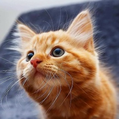 Надежда Быкова, 06.02, Екатеринбург