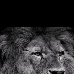 Саддам Мамедов, 04.09.1990, Краснотурьинск