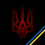 Микола Бринчак, Ровно