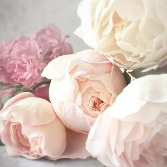 Zhanat Nazarova, 03.04.1987, Актобе