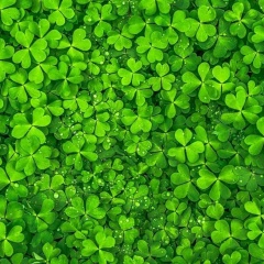 Катюша Ткаченко, 09.01, Нижний Новгород