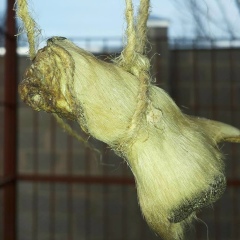 Алина Яруллабекова, 13.10, Бишкек