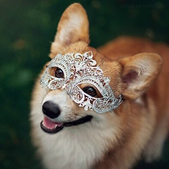 Катя Макарова, 20.06