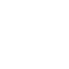 Владимир Лебедев