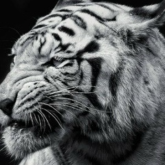 Валерий Гевель, Киев