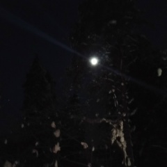 Антонина Карпенкова, 17.12.1979, Смоленск