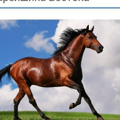 Гулнар Молдабекова, 18.09.1967, Алматы