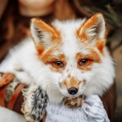 Наталья Харламова, 27.02.1988, Москва