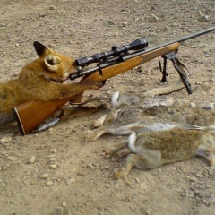 Илья Галкин, 29.05, Санкт-Петербург