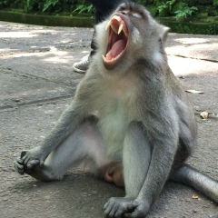 Владимир Ровский, 16.08.1986, Красноярск