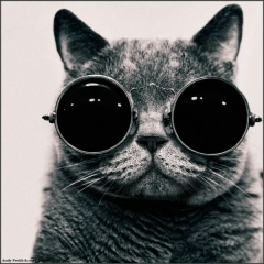 Вера Громова, 30.03.1981, Москва