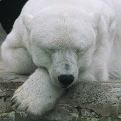 Сергей Сергей, 04.01.1988, Пенза