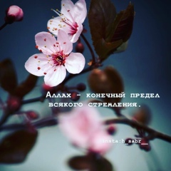 Саурых Саурых, 04.12