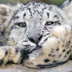 Людмила Кистерская, 03.05.1954, Санкт-Петербург