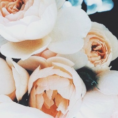 Dina Abu, 06.03, Шымкент